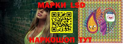 твердый Камышлов