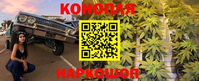 твердый Камышлов