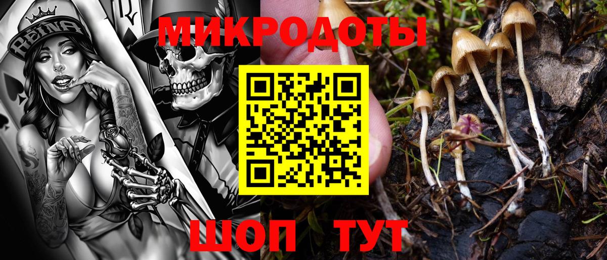 купить наркотики цена  Галлюциногенные грибы Psilocybe  Псилоцибиновые грибы Psilocybe  Вход с VPN  Кубинка 