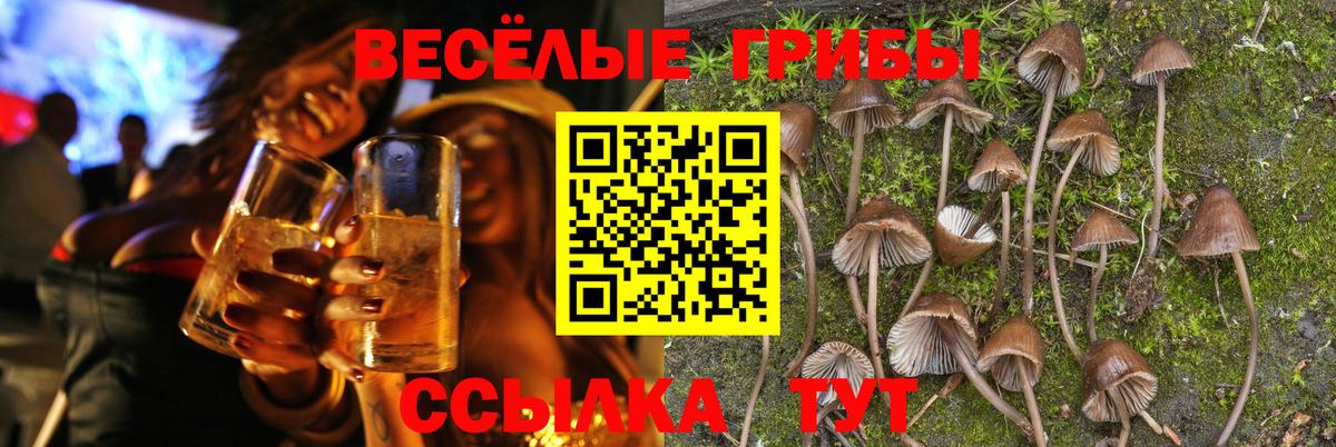 Галлюциногенные грибы мухоморы Кубинка